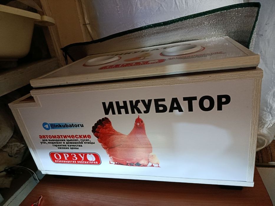 Orzu inkubator 150 tali  B/U