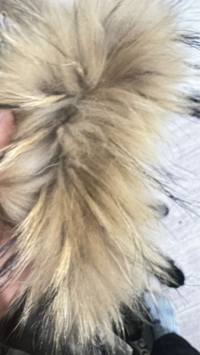 Подросток детский куртка женский