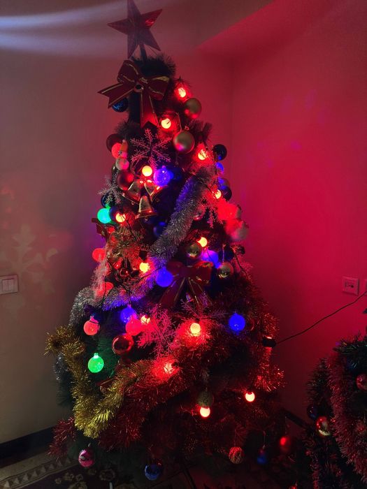 Bayram archasi.Juda kop oyinchoqlari bilan.Xolati juda yaxshi.