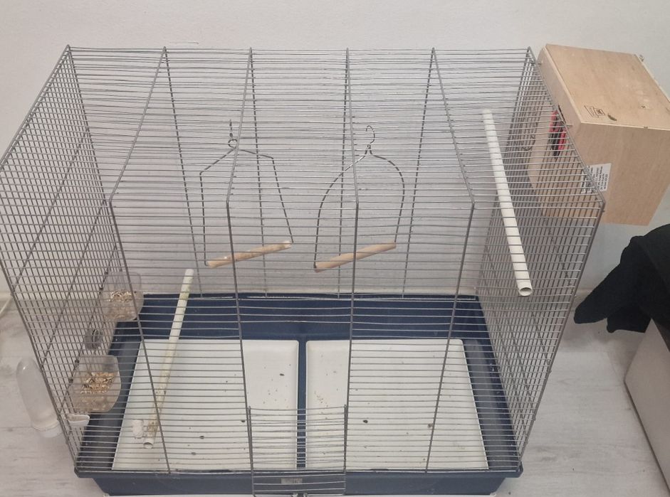 Cusca de papagali de vanzare