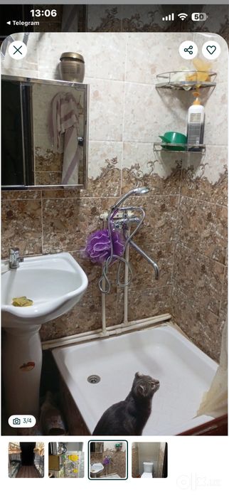Арендага кизлага