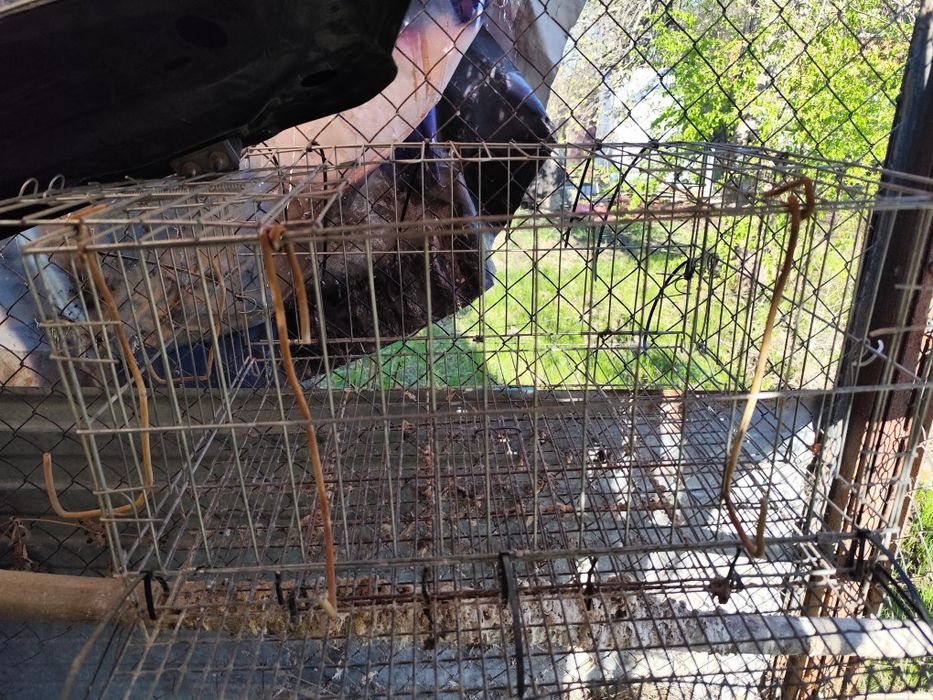 Клетки для перепилов