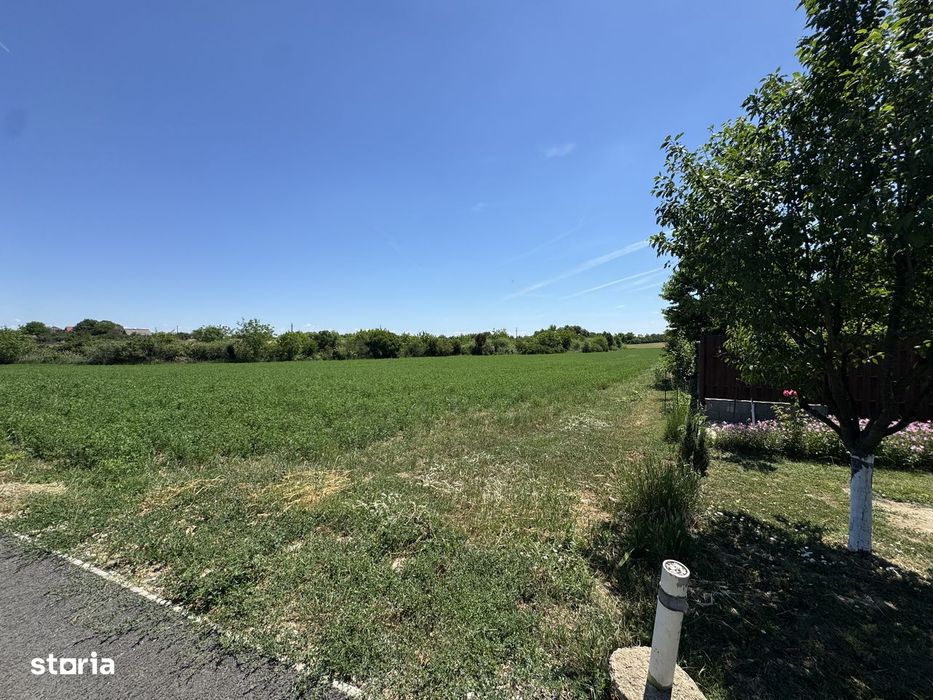 Teren intravilan Zadareni-Bodrogul Nou 8000mp / 141m front - Sosea
