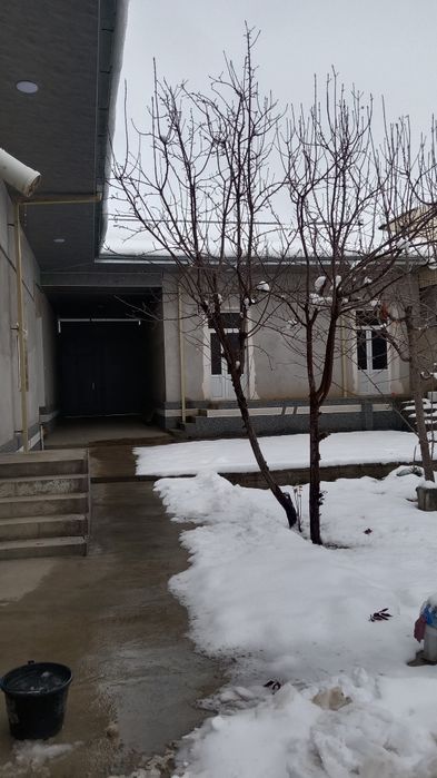 5 Sutok, 6 xonali xonadon.