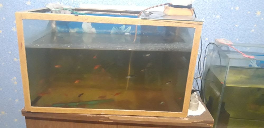 Аквариум с рыбками