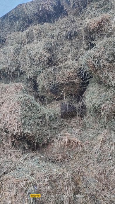 Шөп Сатылады. Бағасы 1600теңге