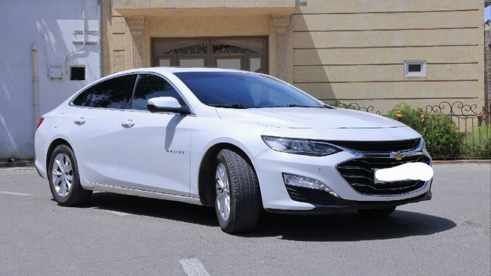 Malibu Premier 2020