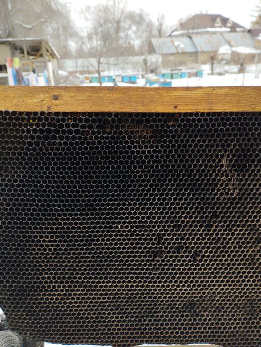 Рамки,сушь  б/у для пчеловодства