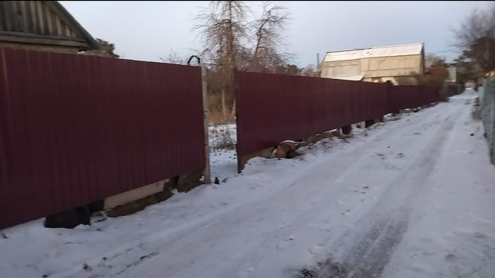 Продам дачный участок