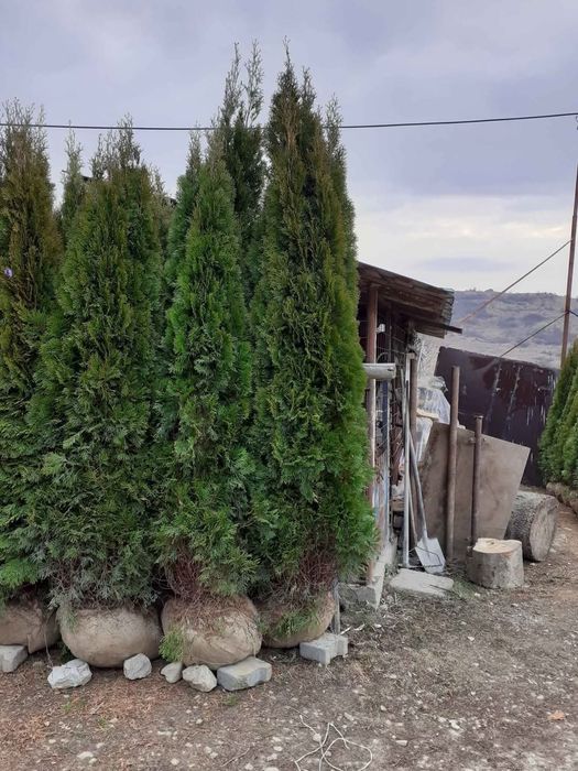Vând și Montez Piatră Naturală de Munte