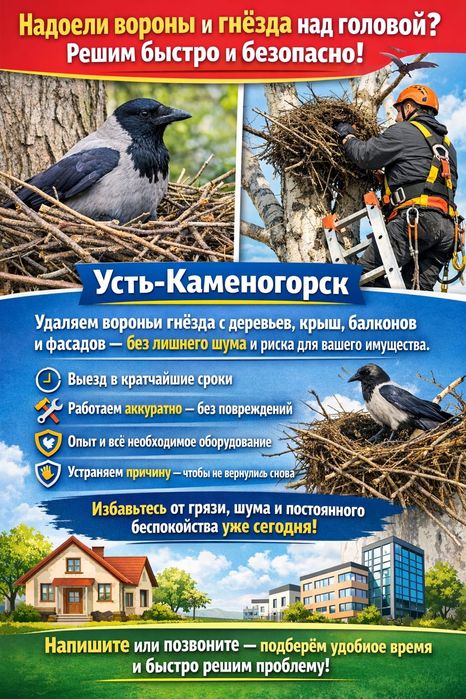 Уберём гнезда ворон, гнезда сорок, санитарный спил веток в местах гнез