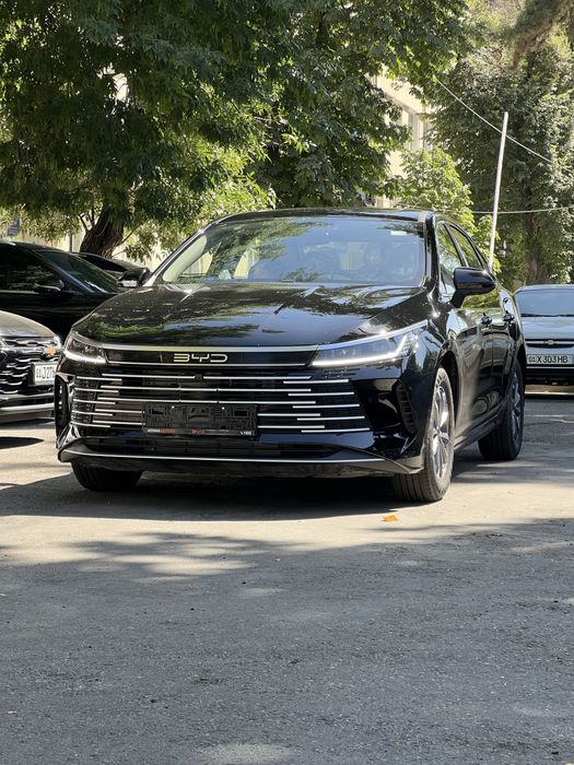 Byd Chazor 55km arenda 20% gadavoy