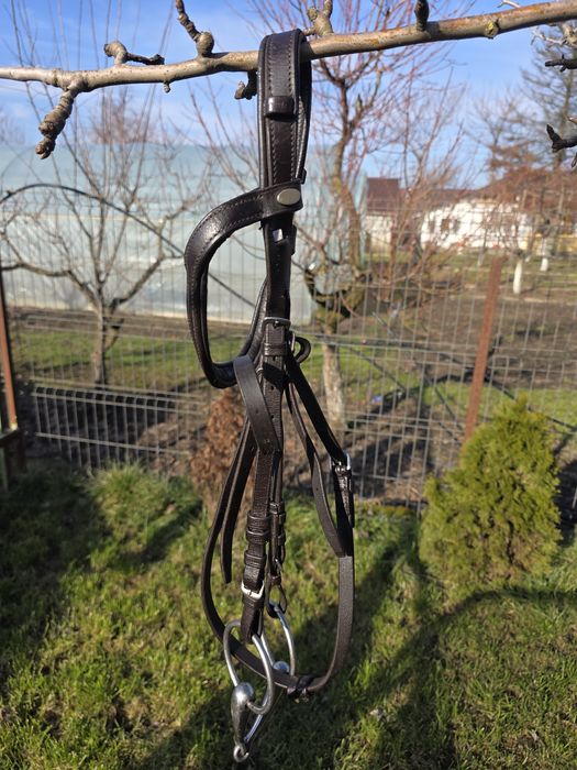 Căpăstru/căpețea călărie