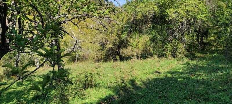 Продават се 3 земеделски имота (поземлени)