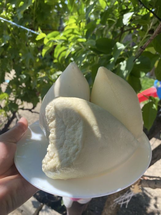 Branza de vaca  engros