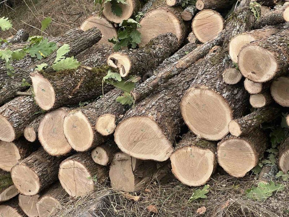 Дърва за огрев! Топла зима..