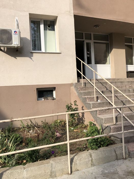 Дава се под наем Тристаен апартамент в Варна, Спортна зала - 75 кв.м за 382.5 € - Снимка #12