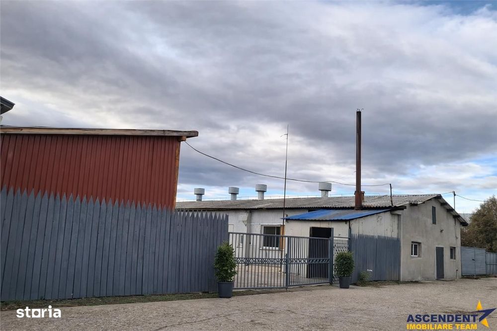Hala versatila,spatii cazare, platforma betonata,1.150 mp teren,Halchi