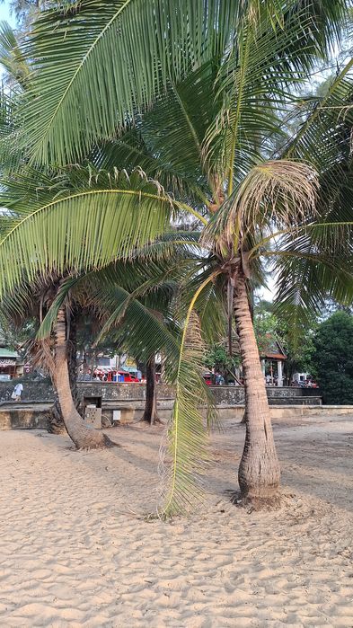 Путешествие  Продажа туров