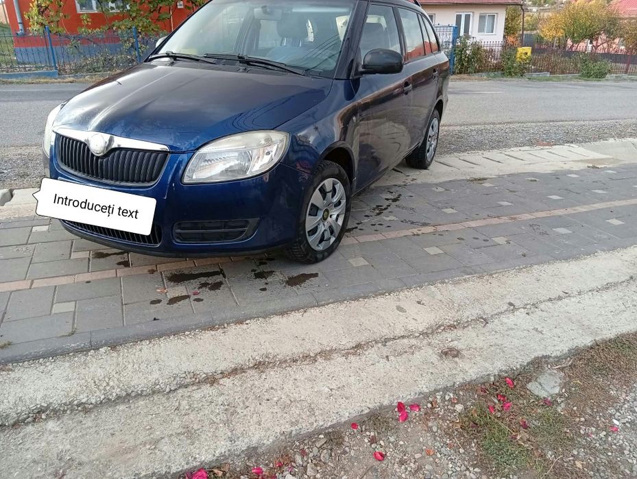 SKODA Fabia 2009 — imagine 2