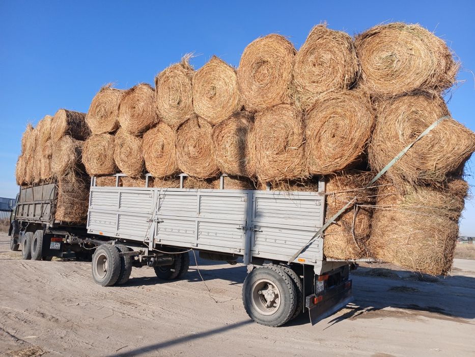 Сено табиги щоп урлон шоп табиги щоп сатамын