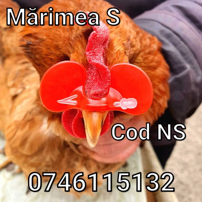 Fazani Gaini Pauni Cocosi Pui Pasari - OCHELARI Impotriva LUPTEOR - NS