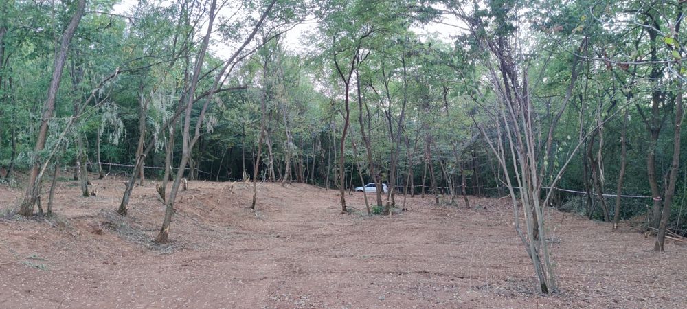 Продава се Парцел в Ботевград - 1293 кв.м за 49 €/кв.м - Снимка #11