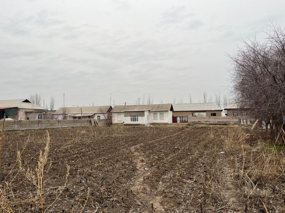 Ховли сотилади 20 сотих , Аққорған елтамғали көрік махаласида