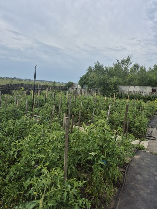 Продам дачу  СО N1