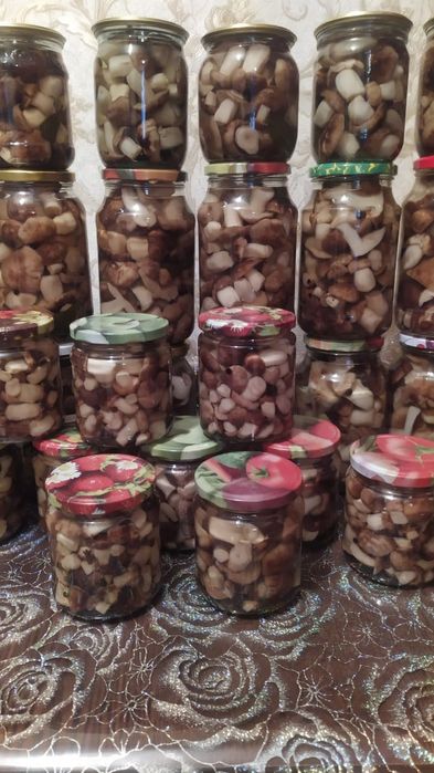 Грибы маринованные