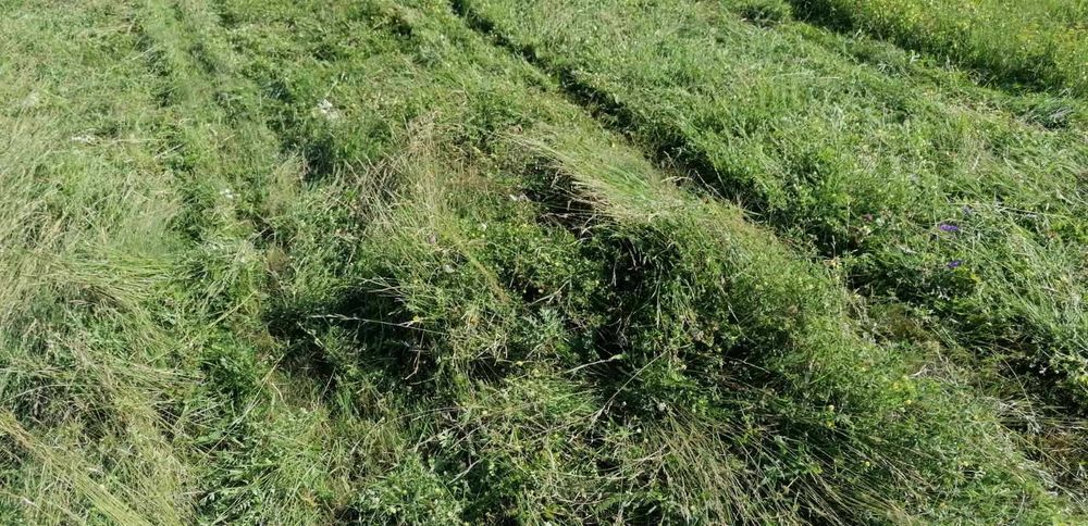 Продавам бали ливадно сено до гр. Габрово