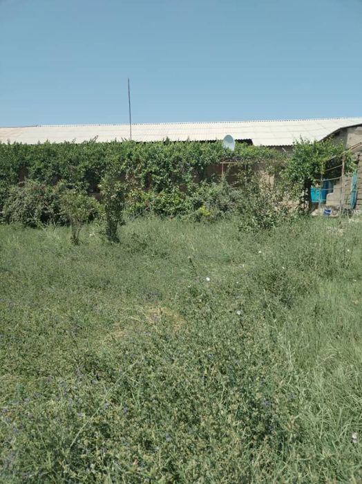 Uchatka sotiladi 12 sotix