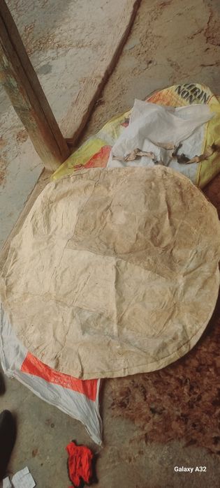 Echki terisidan supra.