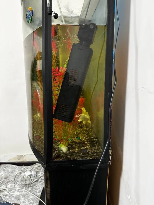 Аквариум 100 литров akvarium