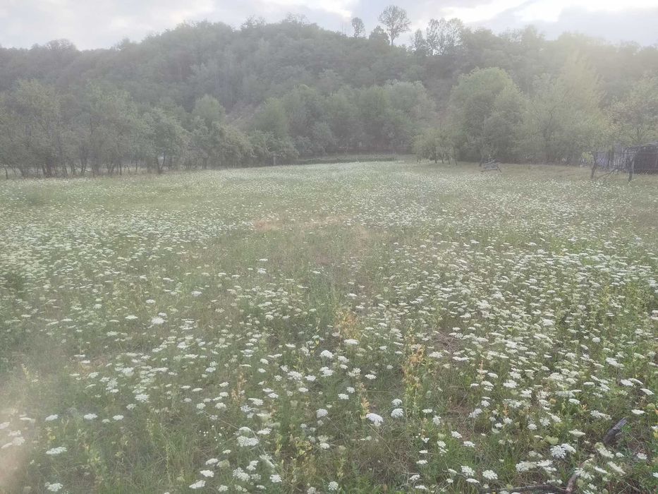 Vind 6800m² teren intravilan Polovragi, Gorj
