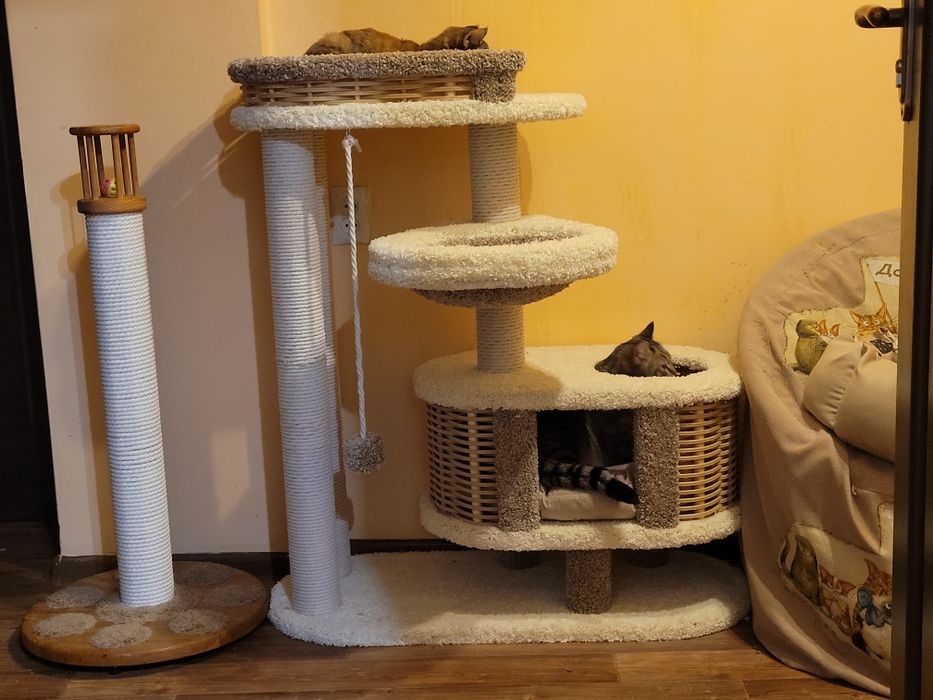 Продам комплекс для кошек