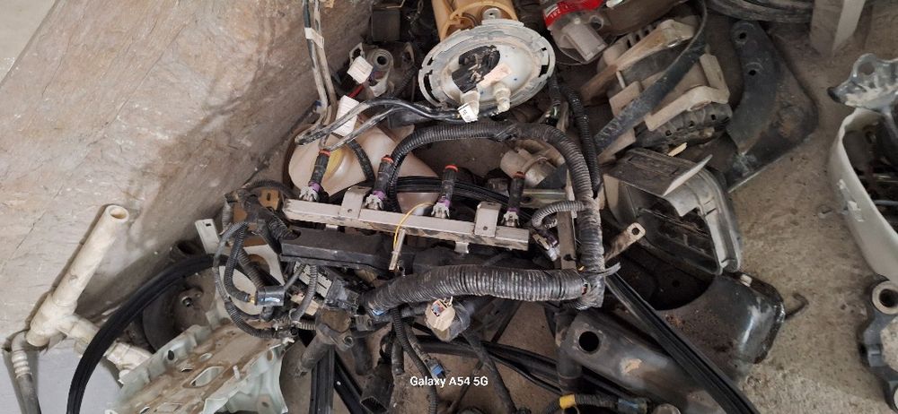 Jentra provotka polni