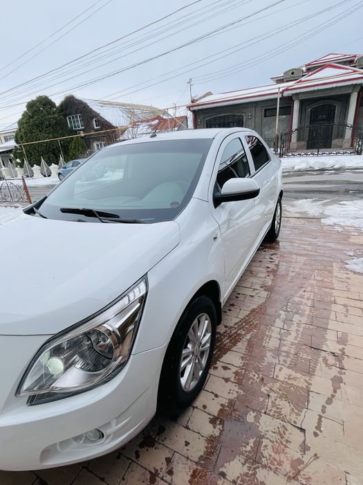 Cobalt-2022 4 позиция. Краска есть-кости целые.