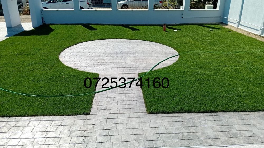 Gazon rulou si plante ornamentale
