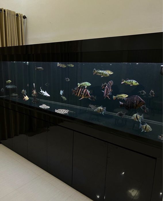 Аквариумы на заказ / Akvarium buyurtma assosida