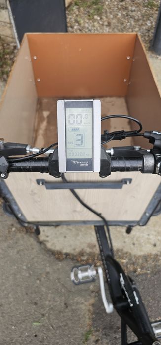 Bicicleta electrica  cargo