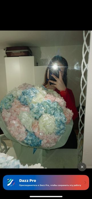 Гортензия цветыы