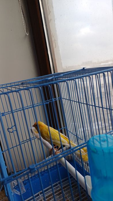 Срочно продаётся