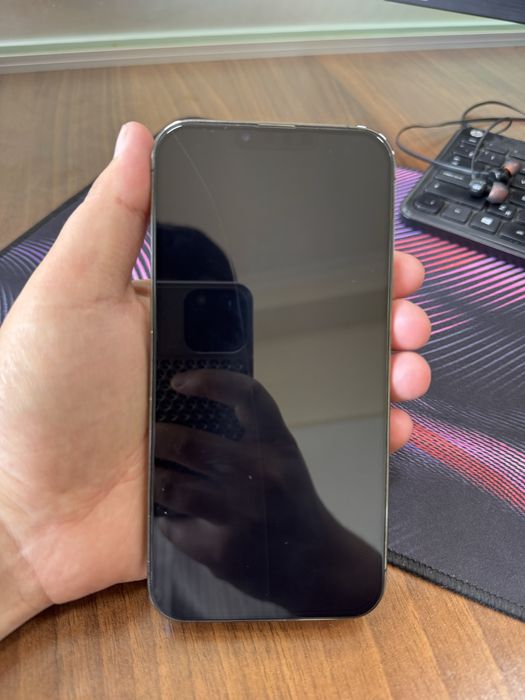 Iphone 13 pro max