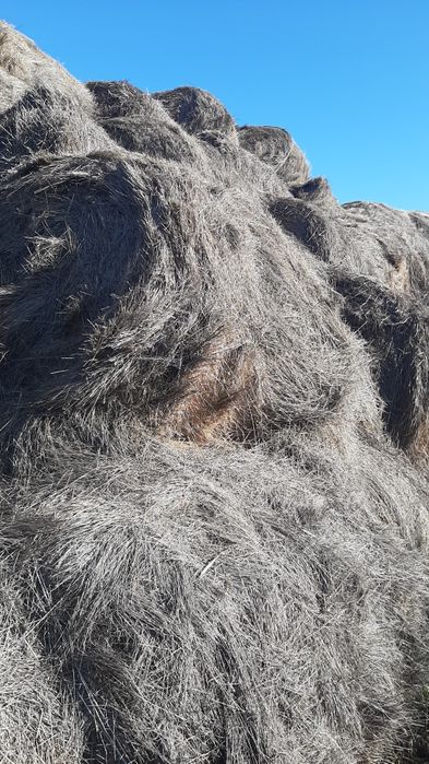 Продам сено, солому в тюках