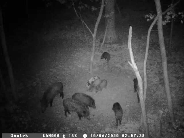 Camera supravegheat stupi , cabane , animale salbatice , santiere !!