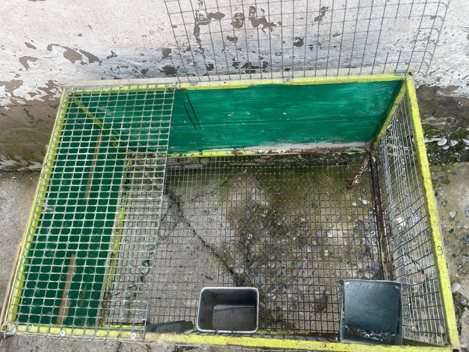 Клетки для кроликов птицы куры