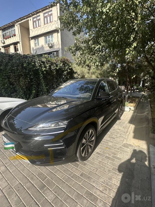 BYD chempion restaling 2024/2025 EV 605