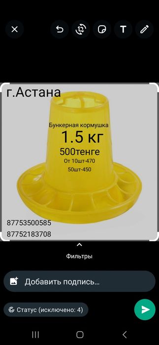 Бункерные кормушки для птиц