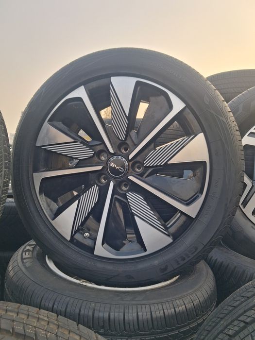 19 chepion diska balon